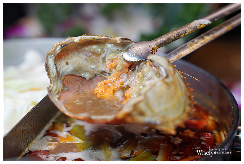 台北。食徒 (龍蝦紅蟳海鮮加強版) 麻辣鴛鴦火鍋︱全新菜單食材再升級，新添日本A5霜降和牛與伊比利豬～捷運忠孝復興站美食 x 中崙美食 x 和牛海鮮麻辣鍋