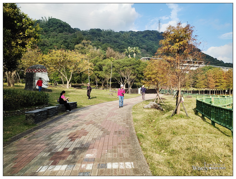 原住民文化主題公園︱交通路線分享︱台北落羽松景點︱