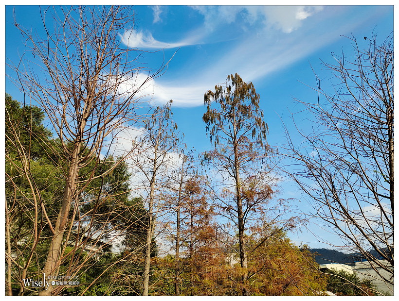 原住民文化主題公園︱交通路線分享︱台北落羽松景點︱