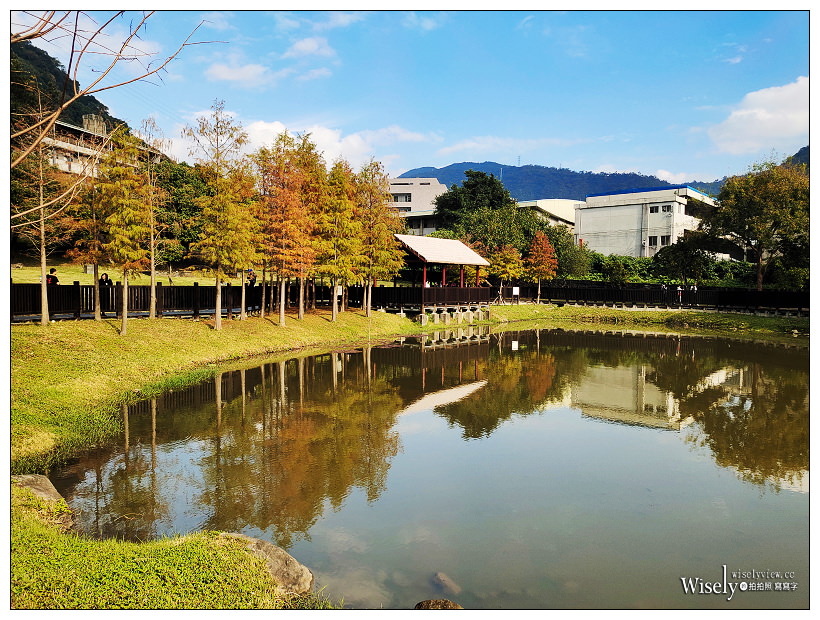 原住民文化主題公園︱交通路線分享︱台北落羽松景點︱