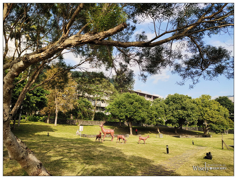 原住民文化主題公園︱交通路線分享︱台北落羽松景點︱