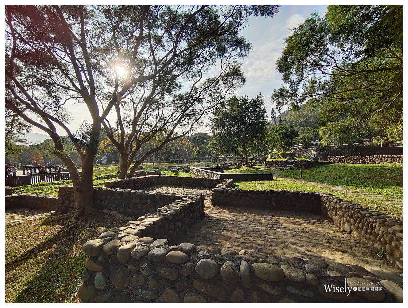 原住民文化主題公園︱交通路線分享︱台北落羽松景點︱