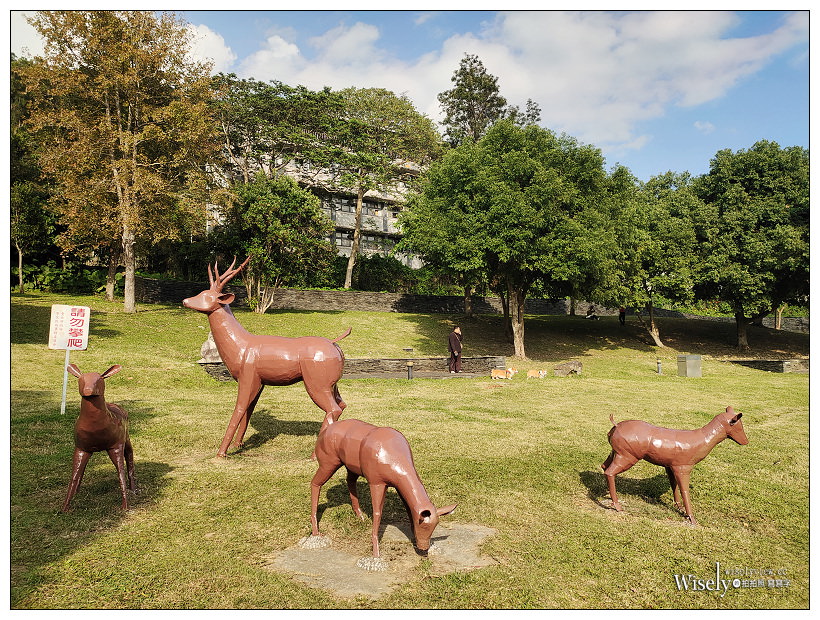 原住民文化主題公園︱交通路線分享︱台北落羽松景點︱