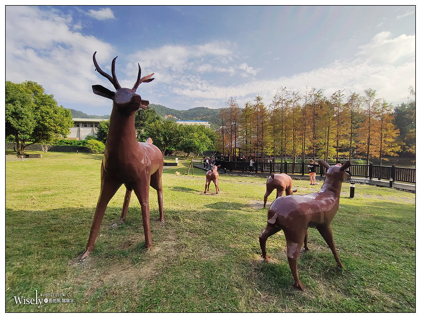 原住民文化主題公園︱交通路線分享︱台北落羽松景點︱