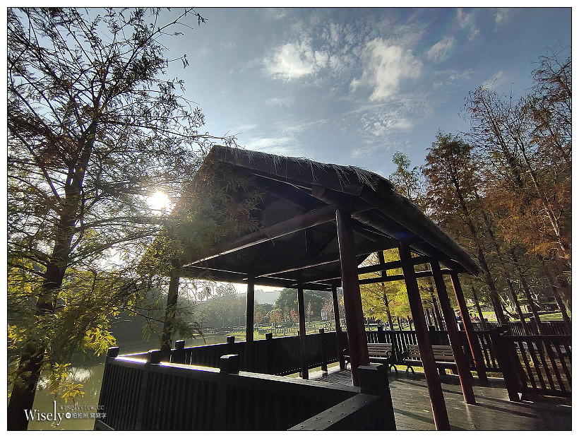 原住民文化主題公園︱交通路線分享︱台北落羽松景點︱