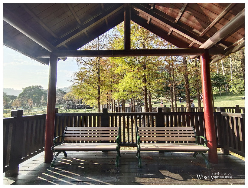 原住民文化主題公園︱交通路線分享︱台北落羽松景點︱