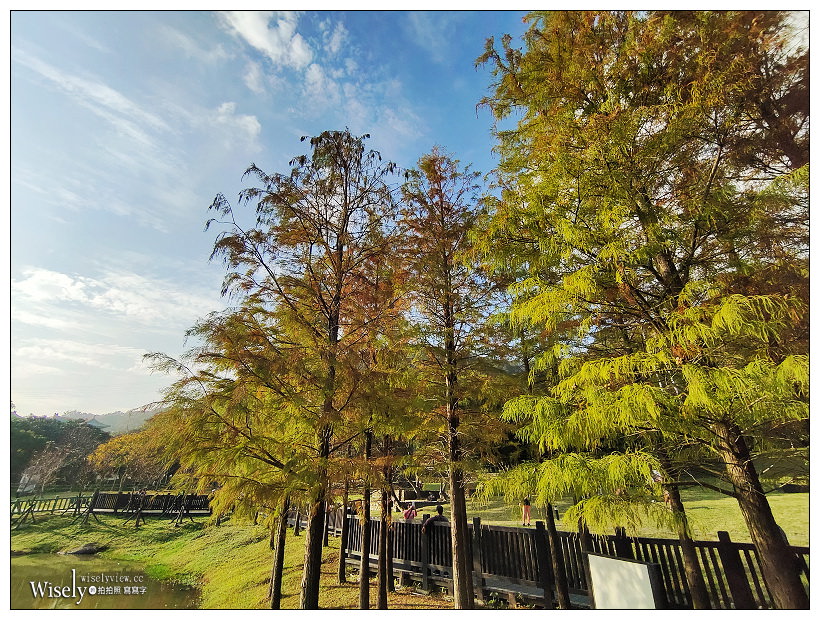 原住民文化主題公園︱交通路線分享︱台北落羽松景點︱