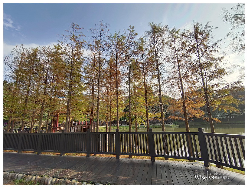 原住民文化主題公園︱交通路線分享︱台北落羽松景點︱