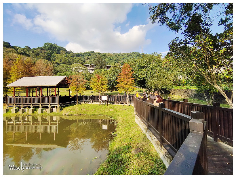 原住民文化主題公園︱交通路線分享︱台北落羽松景點︱