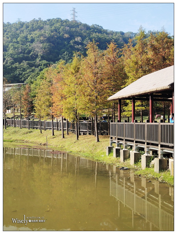 原住民文化主題公園︱交通路線分享︱台北落羽松景點︱