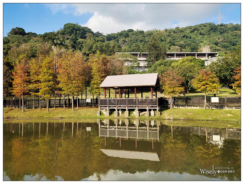 原住民文化主題公園︱交通路線分享︱台北落羽松景點︱