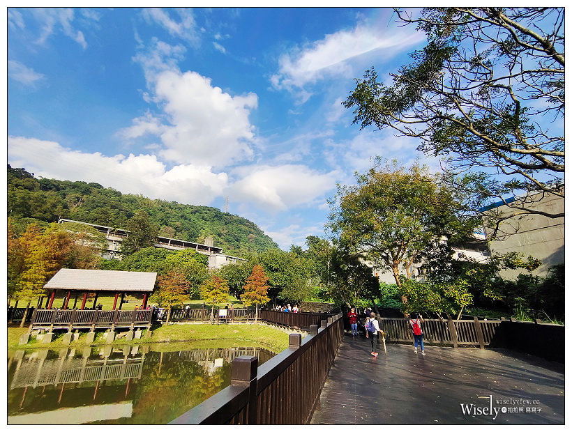 原住民文化主題公園︱交通路線分享︱台北落羽松景點︱
