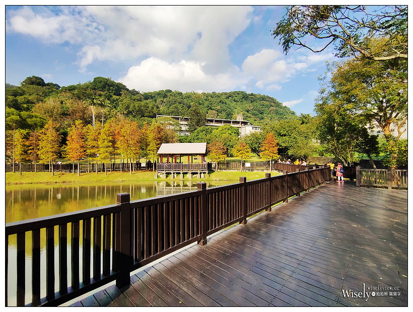 原住民文化主題公園︱交通路線分享︱台北落羽松景點︱