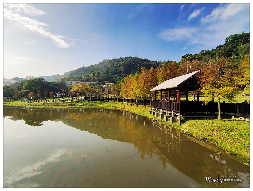 原住民文化主題公園︱交通路線分享︱台北落羽松景點︱