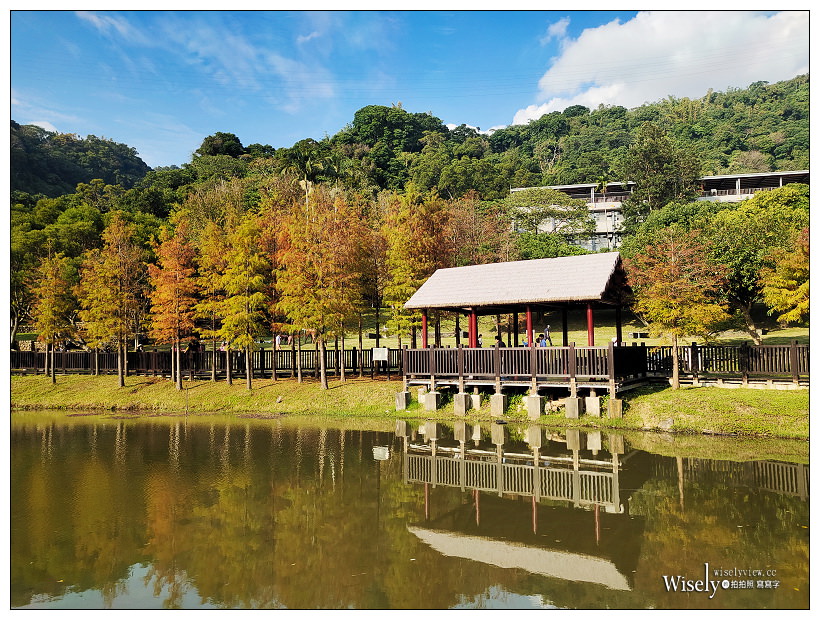 原住民文化主題公園︱交通路線分享︱台北落羽松景點︱