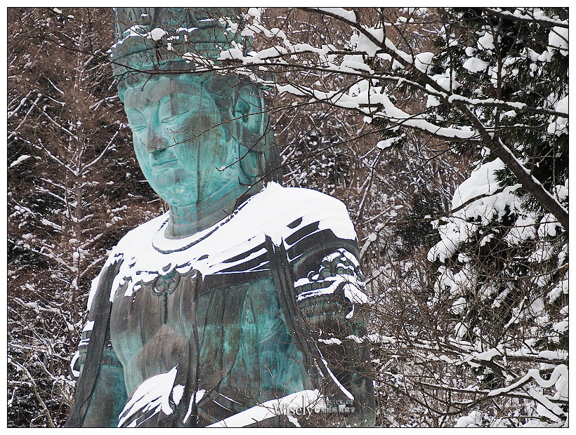 Olympus Em5 mark iii + Olympus M.ZD 12-200mm F3.5-6.3︱青森宮城隨拍分享