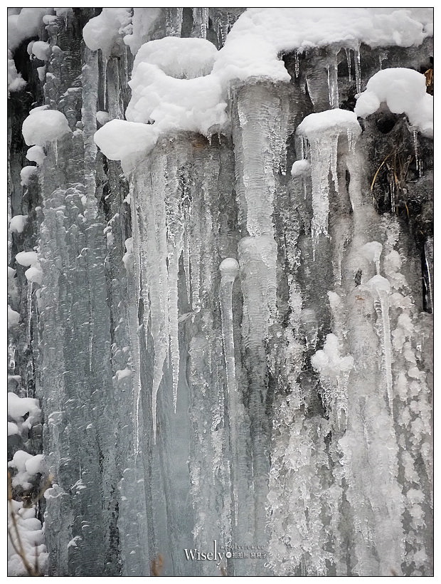 Olympus Em5 mark iii + Olympus M.ZD 12-200mm F3.5-6.3︱青森宮城隨拍分享