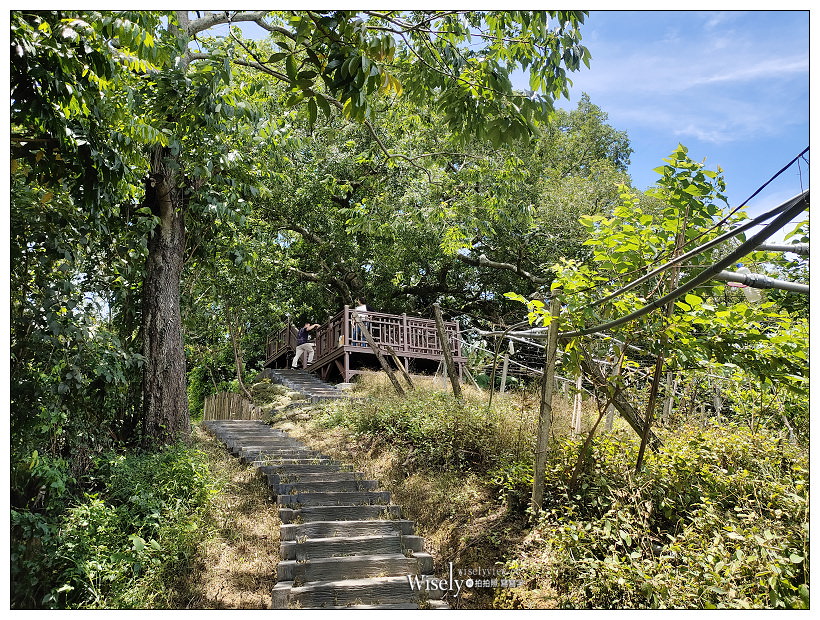 台中東勢。梨鄉背景︱地景藝術展覽：梨之鄉遊客中心＋親子共遊的絕美秘境～採果健行獨角仙觀察體驗