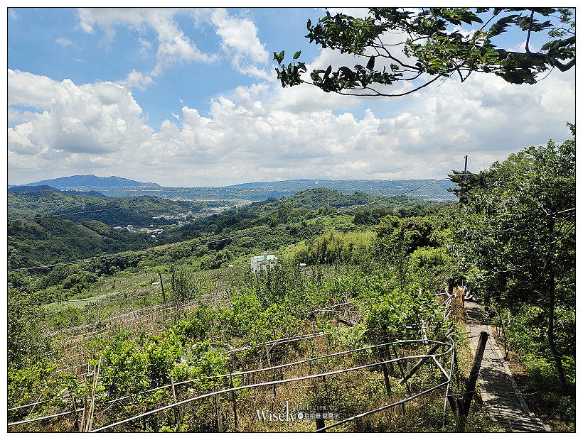 台中東勢。梨鄉背景︱地景藝術展覽：梨之鄉遊客中心＋親子共遊的絕美秘境～採果健行獨角仙觀察體驗