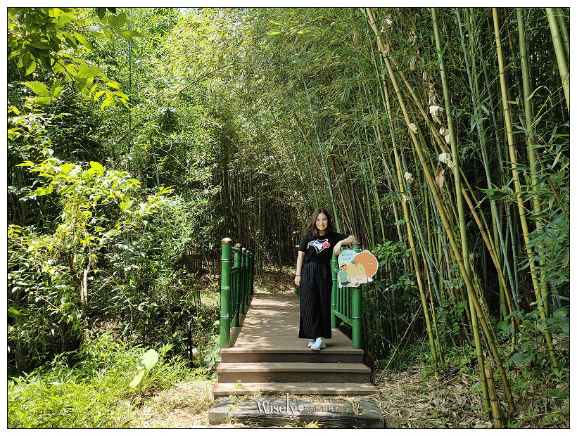 台中東勢。梨鄉背景︱地景藝術展覽：梨之鄉遊客中心＋親子共遊的絕美秘境～採果健行獨角仙觀察體驗