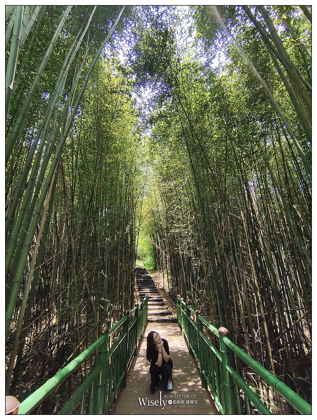 台中東勢。梨鄉背景︱地景藝術展覽：梨之鄉遊客中心＋親子共遊的絕美秘境～採果健行獨角仙觀察體驗