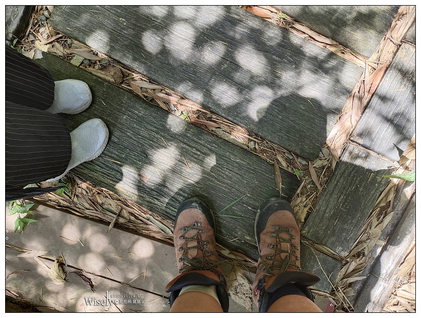 台中東勢。梨鄉背景︱地景藝術展覽：梨之鄉遊客中心＋親子共遊的絕美秘境～採果健行獨角仙觀察體驗