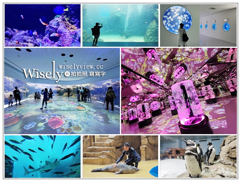 桃園水族館。Xpark水族館。八景島水生公園水族館︱開幕交通、門票場次、樓層設施、飯店住宿，13展區全制霸內容分享～桃園景點 x 華泰名品城(置地廣場) @WISELY&#039;s 拍拍照寫寫字
