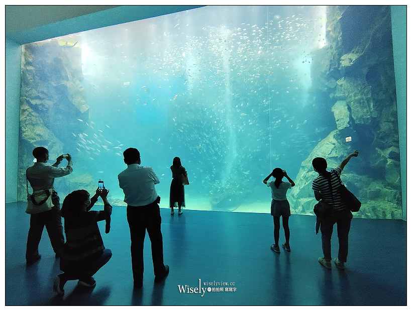 桃園Xpark水族館｜八景島水生公園水族館︱桃園景點｜華泰名品城.置地廣場