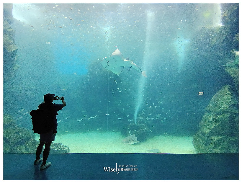 桃園Xpark水族館｜八景島水生公園水族館︱桃園景點｜華泰名品城.置地廣場