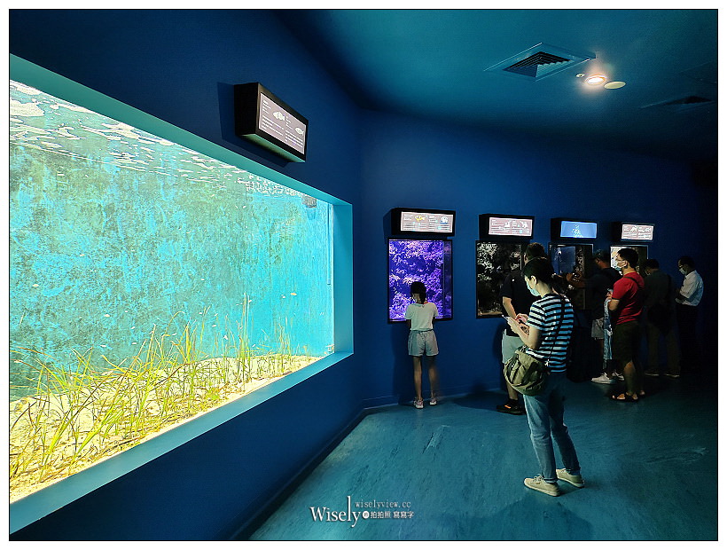 桃園Xpark水族館｜八景島水生公園水族館︱桃園景點｜華泰名品城.置地廣場