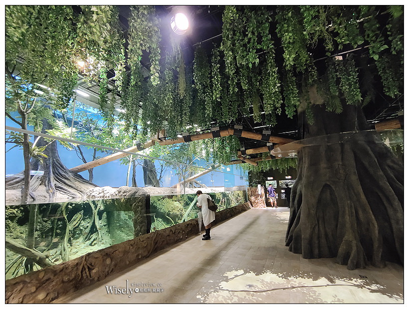 桃園Xpark水族館｜八景島水生公園水族館︱桃園景點｜華泰名品城.置地廣場