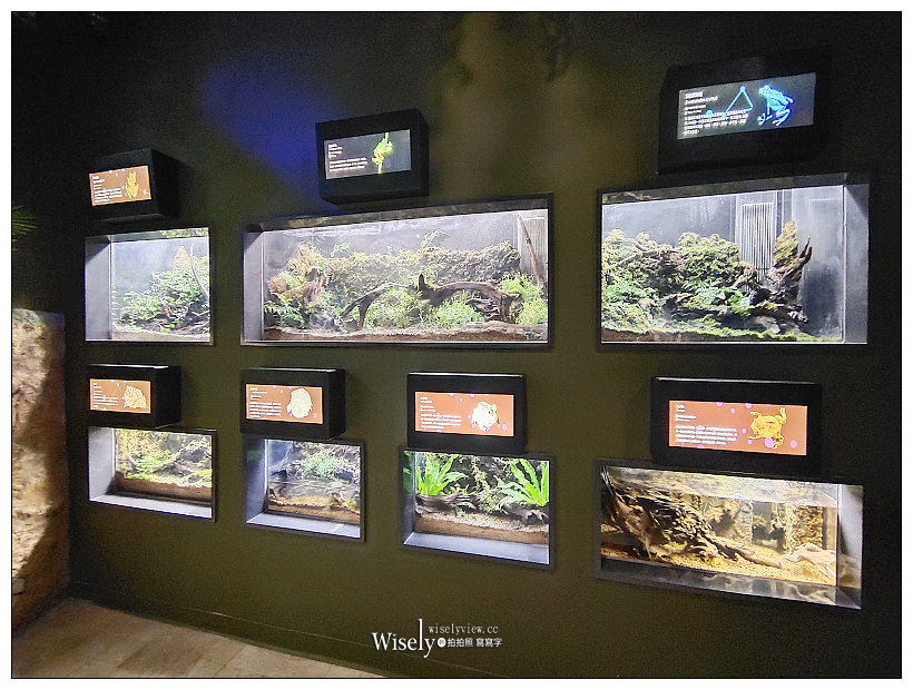 桃園Xpark水族館｜八景島水生公園水族館︱桃園景點｜華泰名品城.置地廣場
