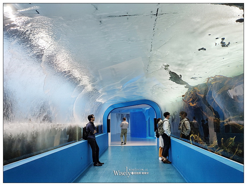 桃園Xpark水族館｜八景島水生公園水族館︱桃園景點｜華泰名品城.置地廣場