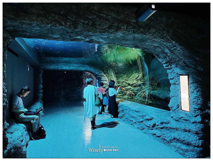 桃園Xpark水族館｜八景島水生公園水族館︱桃園景點｜華泰名品城.置地廣場