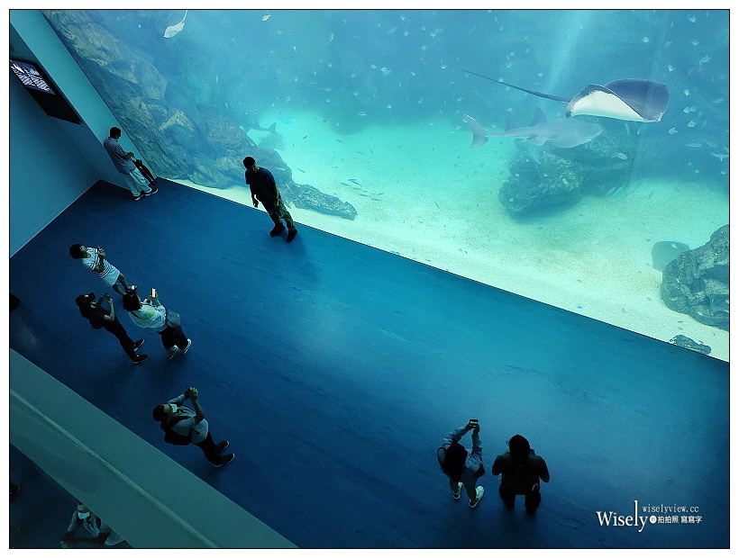 桃園Xpark水族館｜八景島水生公園水族館︱桃園景點｜華泰名品城.置地廣場