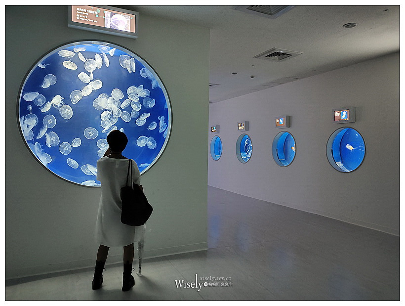 桃園Xpark水族館｜八景島水生公園水族館︱桃園景點｜華泰名品城.置地廣場