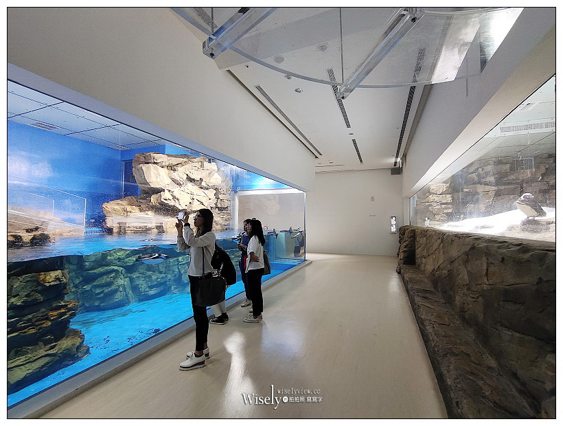 桃園Xpark水族館｜八景島水生公園水族館︱桃園景點｜華泰名品城.置地廣場