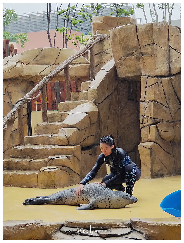 桃園Xpark水族館｜八景島水生公園水族館︱桃園景點｜華泰名品城.置地廣場