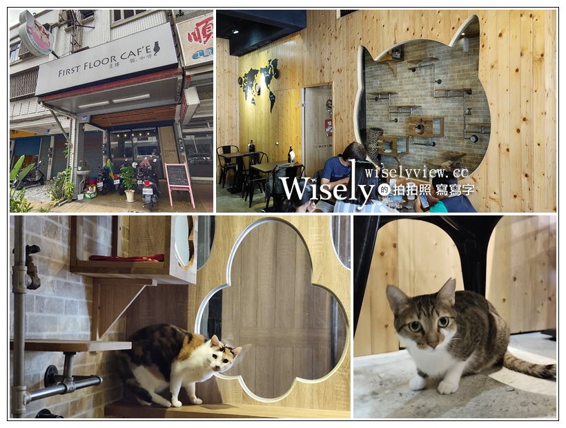 壹樓 貓．咖啡 First Floor Cafe︱花蓮貓咖啡與寵物友善餐廳～花蓮下午茶 x 花蓮早午餐 x 花蓮美食 @WISELY's 拍拍照寫寫字