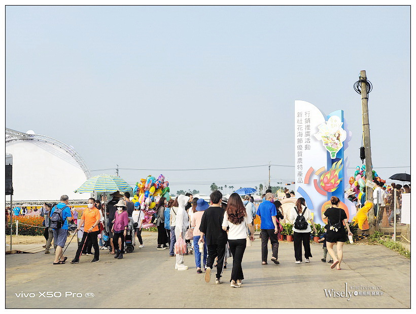 2020 新社花海節:11/14-12/06︱台中國際花毯節-愛麗絲的花境探險:活動內容、交通接駁、主題拍攝 2020 新社花海節:11/14-12/06︱台中國際花毯節-愛麗絲的花境探險:活動內容、交通接駁、主題拍攝