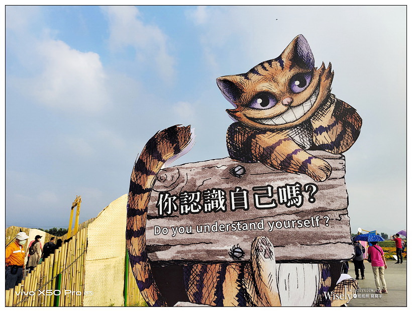 2020 新社花海節:11/14-12/06︱台中國際花毯節-愛麗絲的花境探險:活動內容、交通接駁、主題拍攝 2020 新社花海節:11/14-12/06︱台中國際花毯節-愛麗絲的花境探險:活動內容、交通接駁、主題拍攝