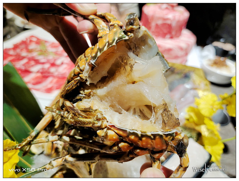 肉多多火鍋 台中向上店︱2020冬季新菜單＋視覺系裝潢&蔬食自助吧吃到飽：16盎司肉蛋糕、海多多海鮮船、好肉系列雙人套餐～台中西區美食 x 台中火鍋