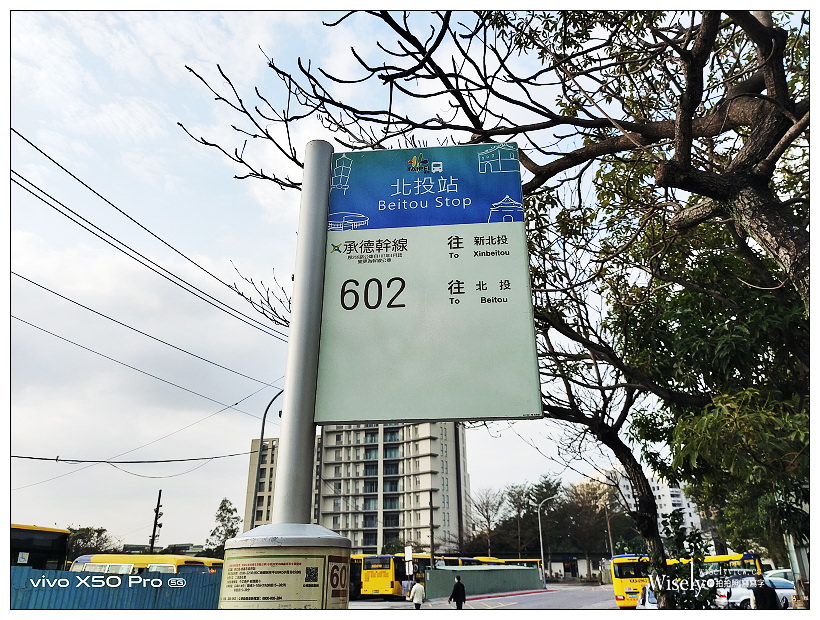 北投社三層崎公園花海︱交通接駁、停車資訊、花期時間、必拍角度~北投景點 x 台北IG打卡景點 北投社三層崎公園花海︱交通接駁、停車資訊、花期時間、必拍角度~北投景點 x 台北IG打卡景點