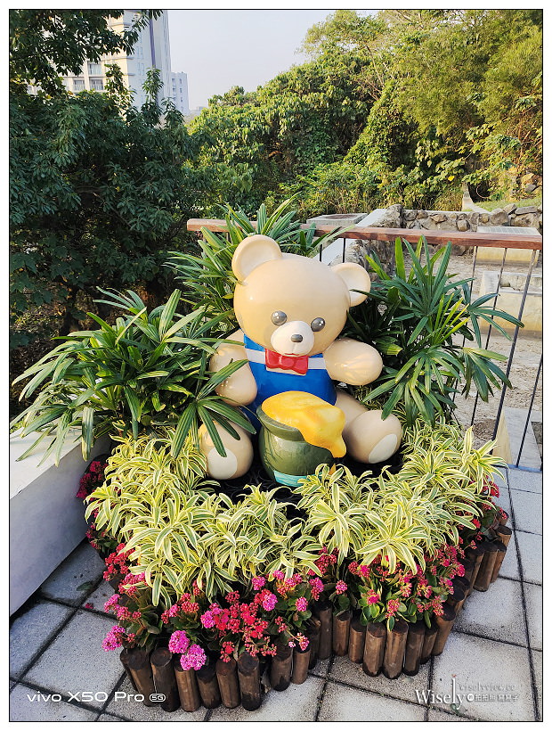 北投社三層崎公園花海︱交通接駁、停車資訊、花期時間、必拍角度~北投景點 x 台北IG打卡景點 北投社三層崎公園花海︱交通接駁、停車資訊、花期時間、必拍角度~北投景點 x 台北IG打卡景點