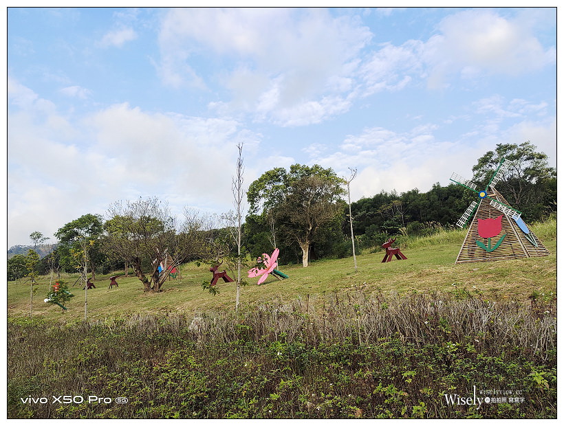 北投社三層崎公園花海︱交通接駁、停車資訊、花期時間、必拍角度~北投景點 x 台北IG打卡景點 北投社三層崎公園花海︱交通接駁、停車資訊、花期時間、必拍角度~北投景點 x 台北IG打卡景點