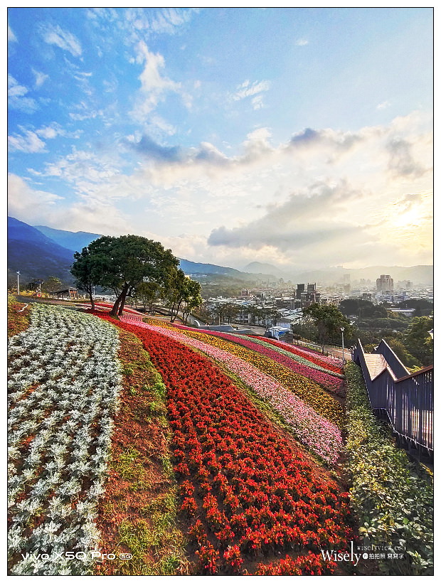 北投社三層崎公園花海︱交通接駁、停車資訊、花期時間、必拍角度~北投景點 x 台北IG打卡景點 北投社三層崎公園花海︱交通接駁、停車資訊、花期時間、必拍角度~北投景點 x 台北IG打卡景點