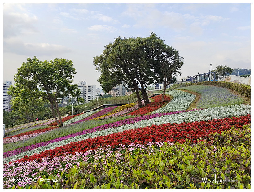 北投社三層崎公園花海︱交通接駁、停車資訊、花期時間、必拍角度~北投景點 x 台北IG打卡景點 北投社三層崎公園花海︱交通接駁、停車資訊、花期時間、必拍角度~北投景點 x 台北IG打卡景點
