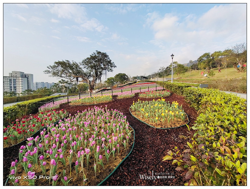 北投社三層崎公園花海︱交通接駁、停車資訊、花期時間、必拍角度~北投景點 x 台北IG打卡景點 北投社三層崎公園花海︱交通接駁、停車資訊、花期時間、必拍角度~北投景點 x 台北IG打卡景點