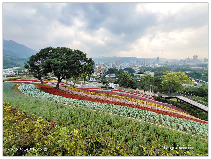北投社三層崎公園花海︱交通接駁、停車資訊、花期時間、必拍角度~北投景點 x 台北IG打卡景點 北投社三層崎公園花海︱交通接駁、停車資訊、花期時間、必拍角度~北投景點 x 台北IG打卡景點