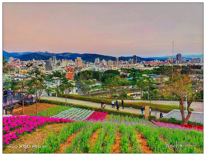 北投社三層崎公園花海︱交通接駁、停車資訊、花期時間、必拍角度~北投景點 x 台北IG打卡景點 北投社三層崎公園花海︱交通接駁、停車資訊、花期時間、必拍角度~北投景點 x 台北IG打卡景點